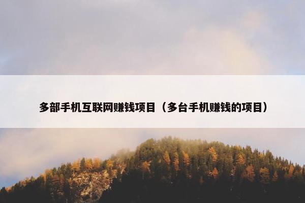 多部手机互联网赚钱项目（多台手机赚钱的项目）