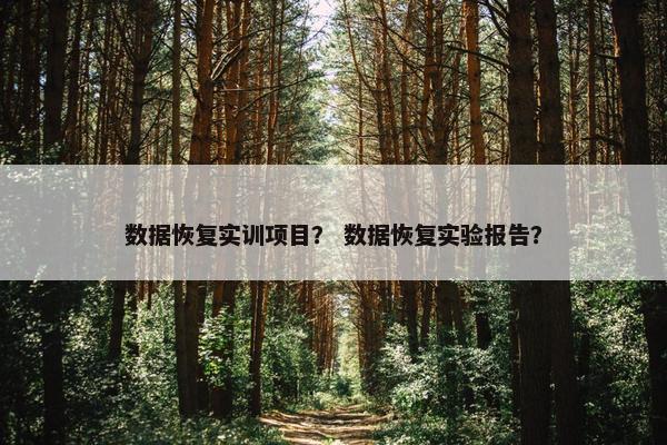 数据恢复实训项目？ 数据恢复实验报告？