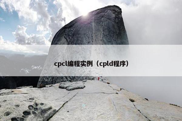 cpcl编程实例（cpld程序）