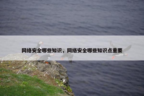 网络安全哪些知识，网络安全哪些知识点重要