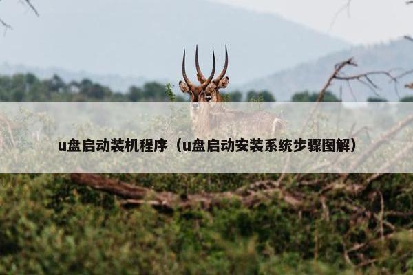 u盘启动装机程序（u盘启动安装系统步骤图解）