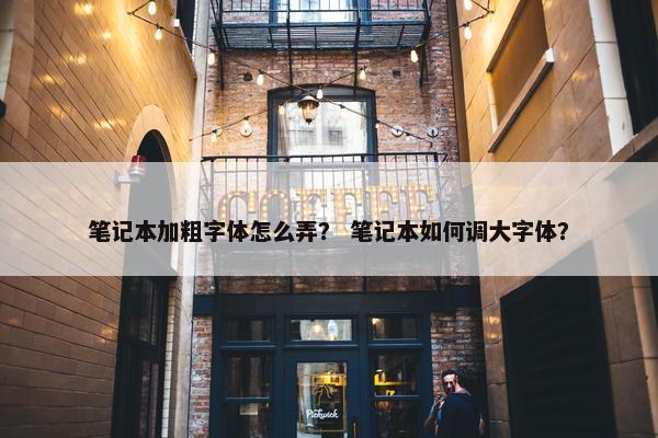 笔记本加粗字体怎么弄？ 笔记本如何调大字体？