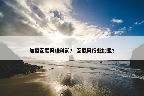 加盟互联网赚利润？ 互联网行业加盟？