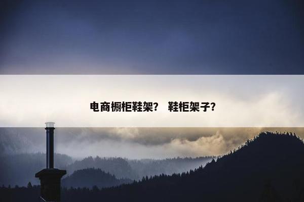 电商橱柜鞋架？ 鞋柜架子？