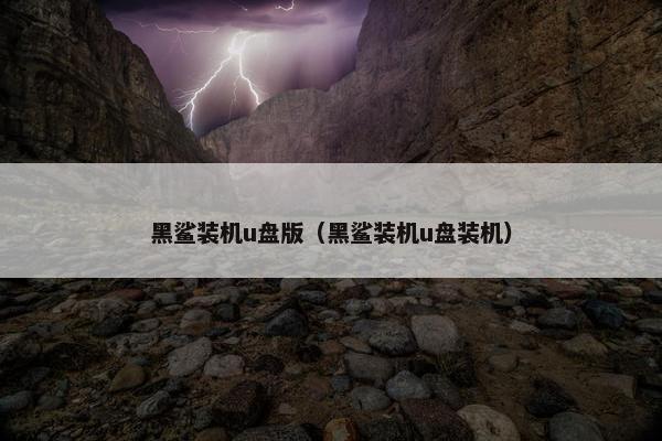 黑鲨装机u盘版（黑鲨装机u盘装机）