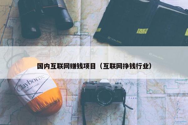 国内互联网赚钱项目（互联网挣钱行业）