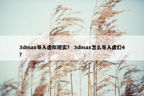 3dmax导入虚拟现实？ 3dmax怎么导入虚幻4？
