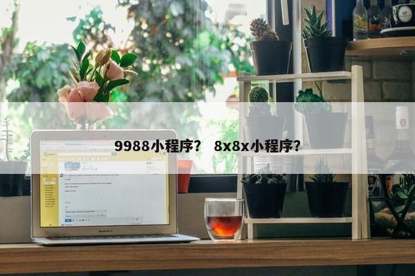 9988小程序？ 8x8x小程序？