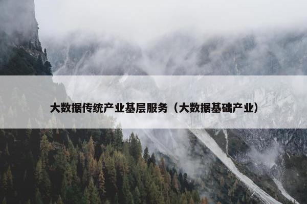 大数据传统产业基层服务（大数据基础产业）