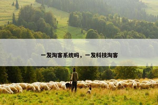 一发淘客系统吗，一发科技淘客