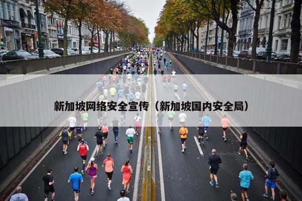 新加坡网络安全宣传（新加坡国内安全局）