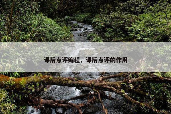 课后点评编程，课后点评的作用