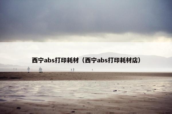 西宁abs打印耗材（西宁abs打印耗材店）