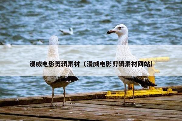 漫威电影剪辑素材（漫威电影剪辑素材网站）