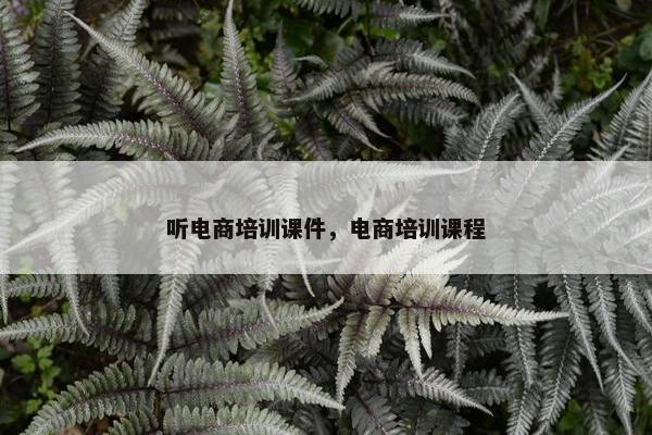 听电商培训课件，电商培训课程
