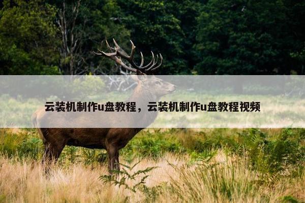 云装机制作u盘教程，云装机制作u盘教程视频