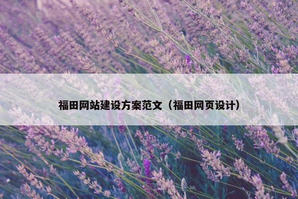 福田网站建设方案范文（福田网页设计）