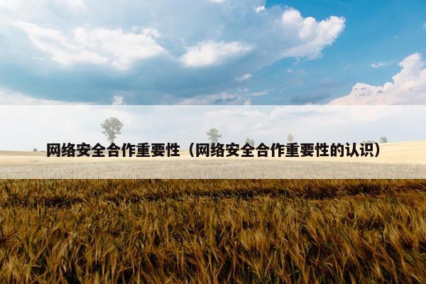 网络安全合作重要性（网络安全合作重要性的认识）