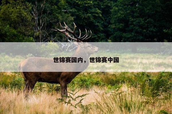 世锦赛国内，世锦赛中国