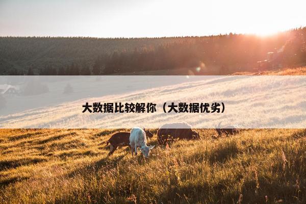 大数据比较解你（大数据优劣）