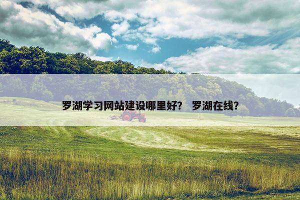 罗湖学习网站建设哪里好？ 罗湖在线？