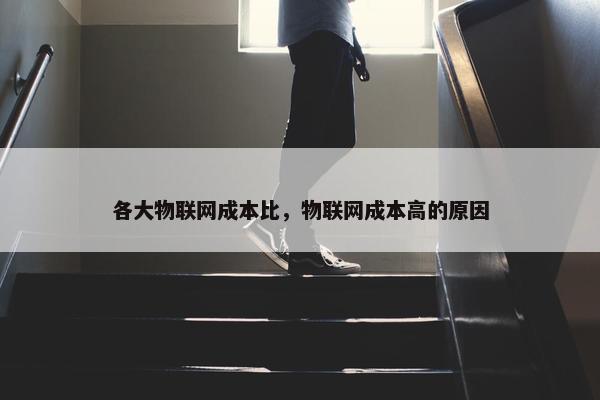 各大物联网成本比，物联网成本高的原因