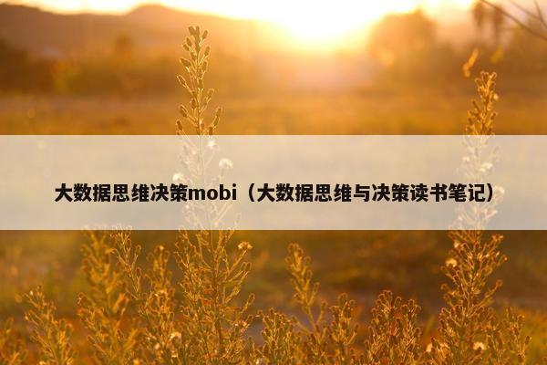 大数据思维决策mobi（大数据思维与决策读书笔记）