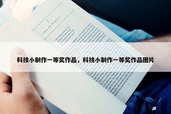 科技小制作一等奖作品，科技小制作一等奖作品图片