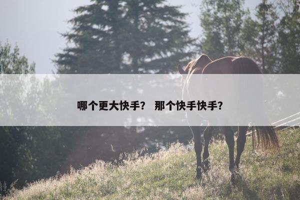 哪个更大快手？ 那个快手快手？