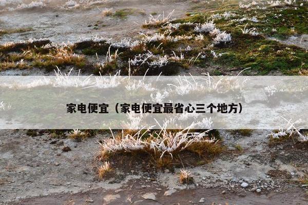 家电便宜（家电便宜最省心三个地方）
