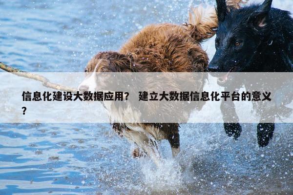 信息化建设大数据应用？ 建立大数据信息化平台的意义？