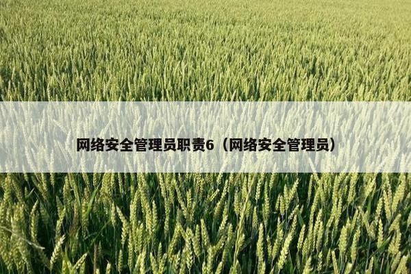 网络安全管理员职责6（网络安全管理员）