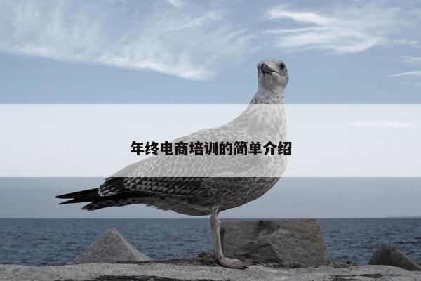 年终电商培训的简单介绍