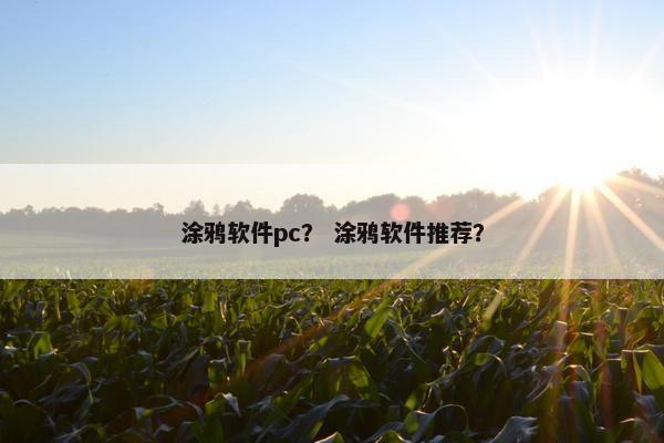 涂鸦软件pc？ 涂鸦软件推荐？