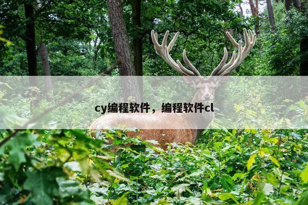 cy编程软件，编程软件cl