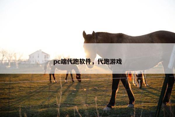 pc端代跑软件，代跑游戏