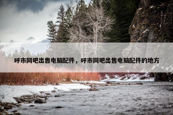 呼市网吧出售电脑配件，呼市网吧出售电脑配件的地方