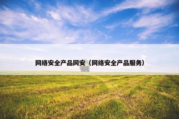 网络安全产品网安（网络安全产品服务）