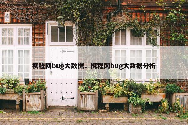 携程网bug大数据，携程网bug大数据分析