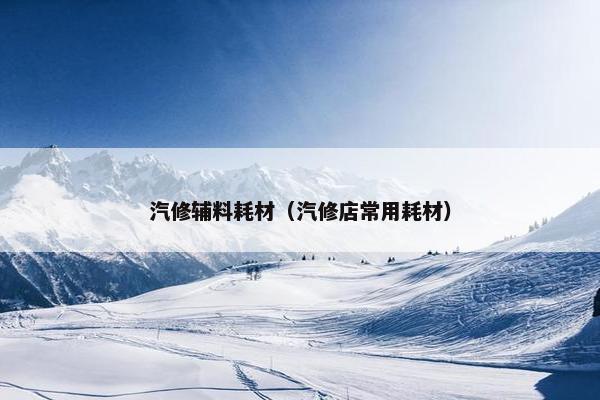 汽修辅料耗材（汽修店常用耗材）