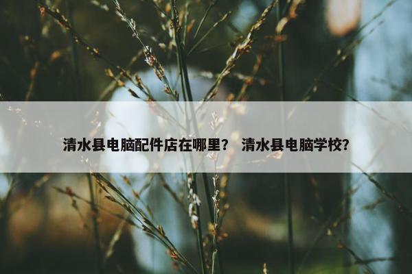 清水县电脑配件店在哪里？ 清水县电脑学校？