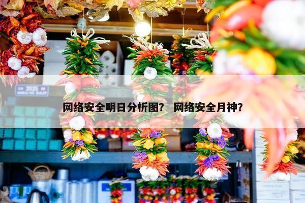 网络安全明日分析图？ 网络安全月神？
