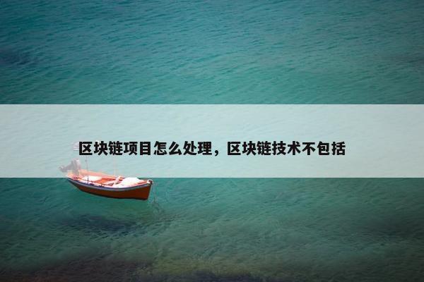区块链项目怎么处理，区块链技术不包括