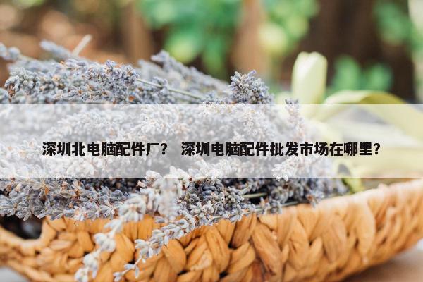 深圳北电脑配件厂？ 深圳电脑配件批发市场在哪里？