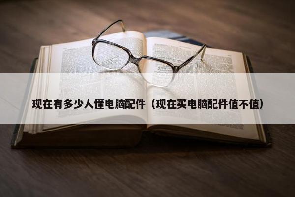 现在有多少人懂电脑配件（现在买电脑配件值不值）