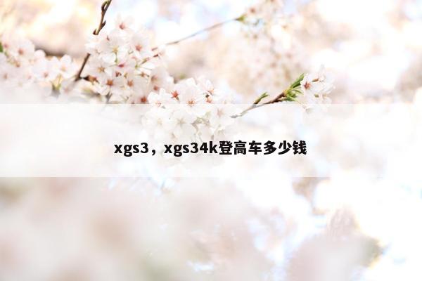 xgs3，xgs34k登高车多少钱