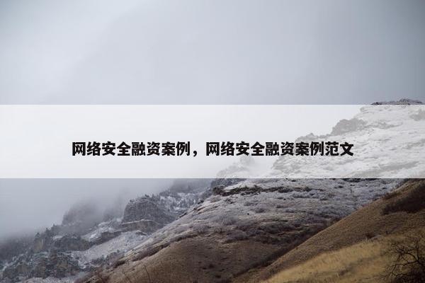 网络安全融资案例，网络安全融资案例范文