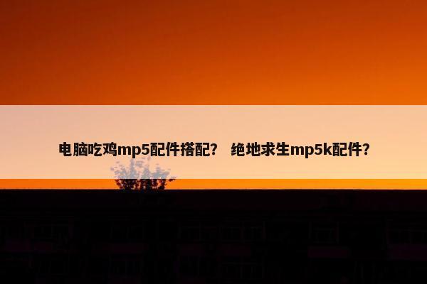 电脑吃鸡mp5配件搭配？ 绝地求生mp5k配件？