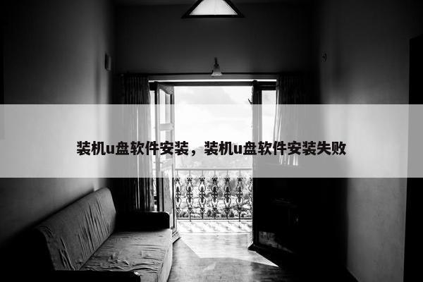 装机u盘软件安装，装机u盘软件安装失败