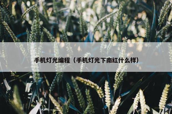 手机灯光编程（手机灯光下南红什么样）
